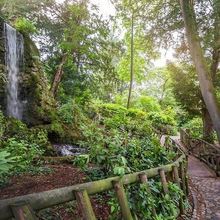 Calme Appart Renove Jardin Des Plantes Busca Τουλούζη Εξωτερικό φωτογραφία
