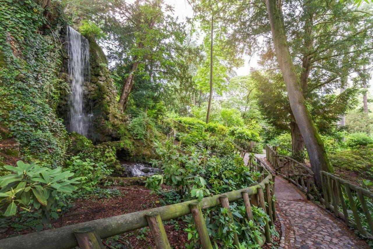 Calme Appart Renove Jardin Des Plantes Busca Τουλούζη Εξωτερικό φωτογραφία